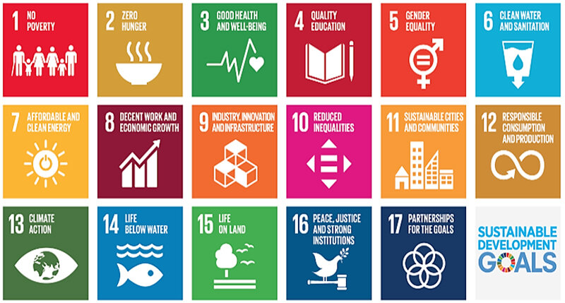 Engineering educators can help the United Nation acheive its sustainable development goals in many ways.